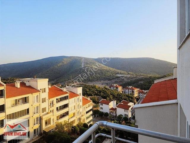 Menteşe Kooperatif Evleri, Menteşe içerisinde kiralık mülk
