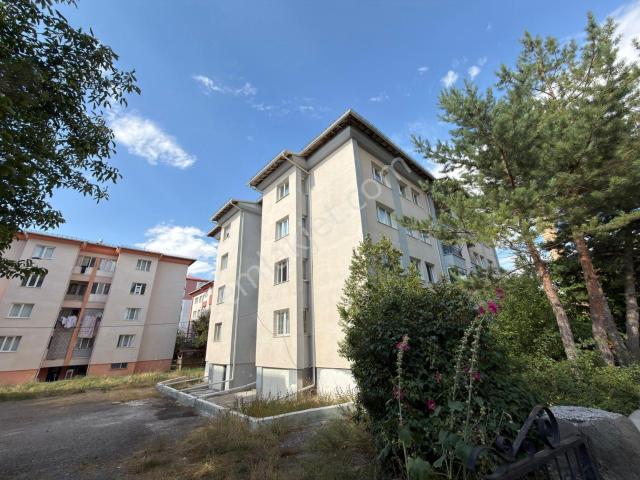 Sivas Merkez, Sivas içerisinde kiralık mülk