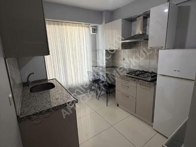 Adapazari, Sakarya içerisinde kiralık mülk