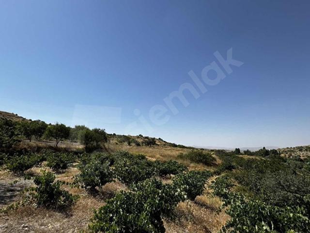 Ürgüp, Nevşehir içerisinde satılık mülk