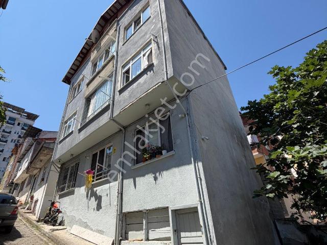 Ordu, Altınordu içerisinde satılık mülk