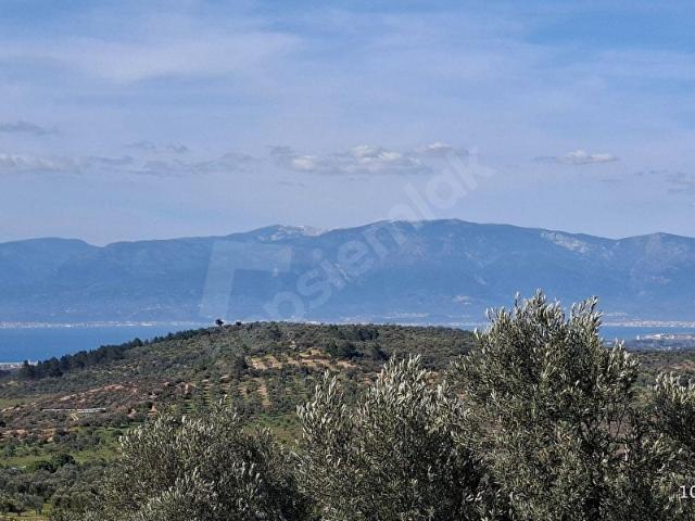 Burhaniye, Balikesir içerisinde satılık mülk