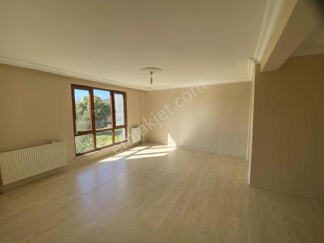 Şiremir Çavuş, Bartın Merkez içerisinde kiralık mülk