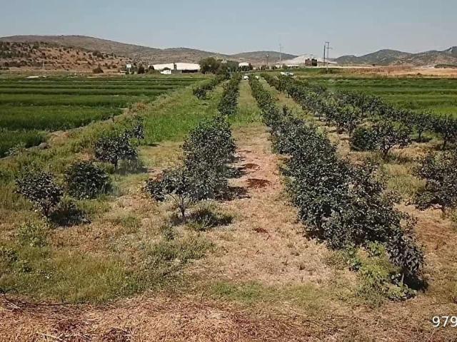 Taştepe Mahallesi, Gönen içerisinde satılık Arsa
