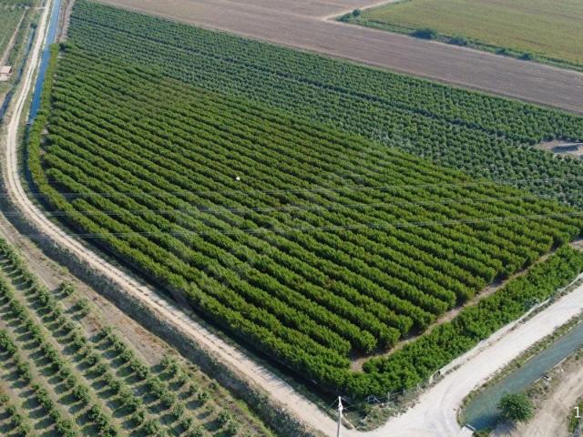 Tarsus, Mersin içerisinde satılık mülk