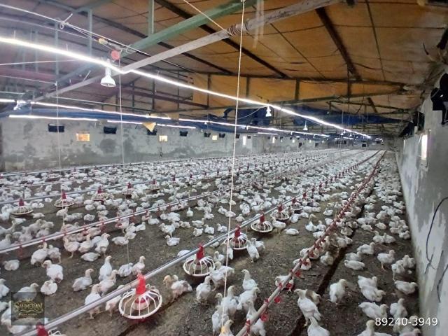 Tarsus, Mersin içerisinde satılık Fabrika