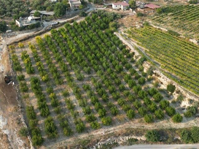 Akdeniz, Mersin içerisinde satılık Arsa