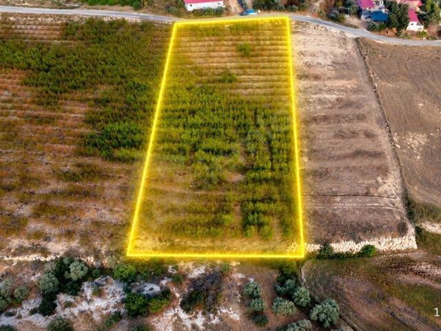 Dadalı, Tarsus içerisinde satılık Arsa