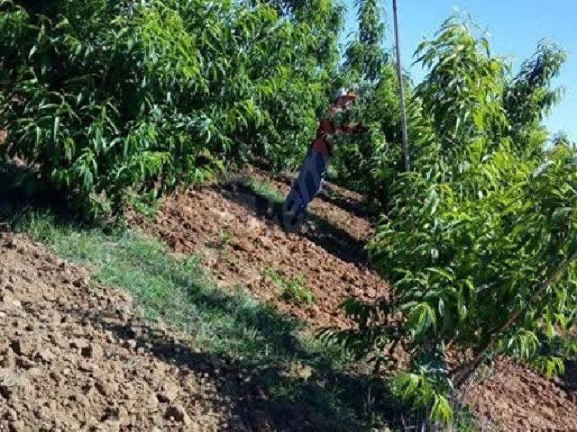 Tarsus, Mersin içerisinde satılık Arsa