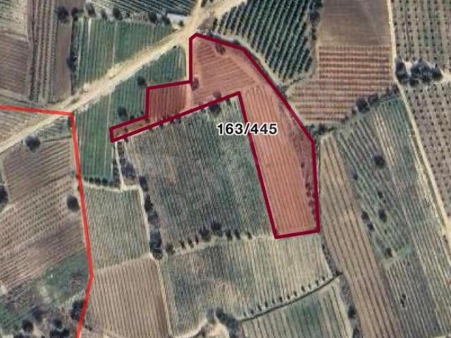 Cin, Tarsus içerisinde satılık Arsa