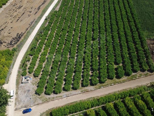 Tarsus, Mersin içerisinde satılık Arsa