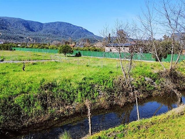 Köyceğiz, Muğla içerisinde satılık mülk