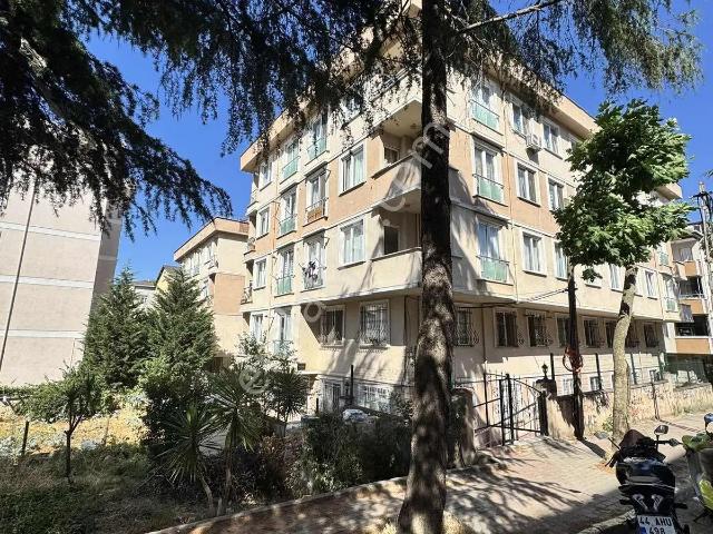 Pendik, İstanbul içerisinde satılık mülk