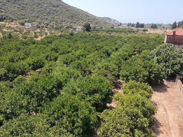 Menderes, İzmir içerisinde satılık Arsa