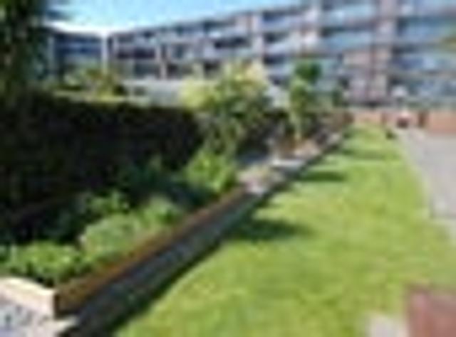 Apartment for rent in Napier