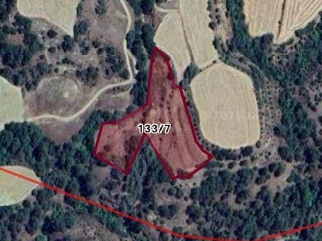 Muğla içerisinde satılık Arsa