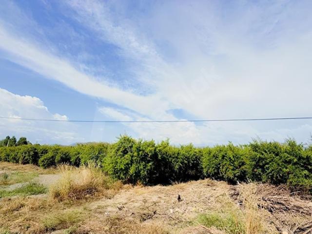 Ortaca, Muğla içerisinde satılık Arsa