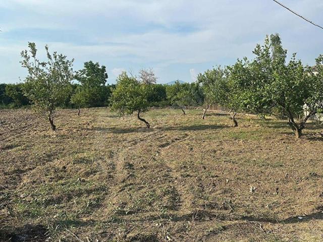 Ortaca, Muğla içerisinde satılık Arsa