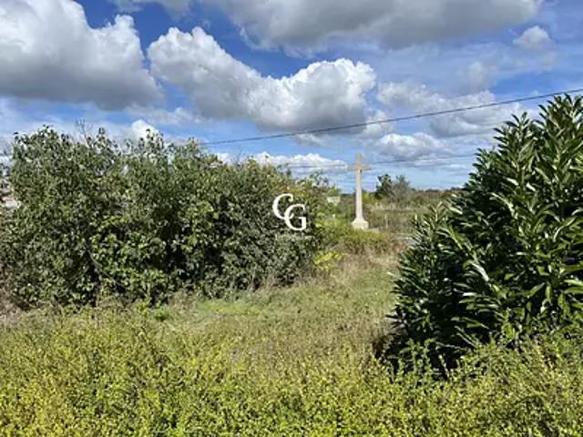 Terrain vente à France métropolitaine, Aigrefeuille-sur-maine