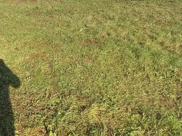 Terrain vente à France métropolitaine, Aigrefeuille-sur-maine