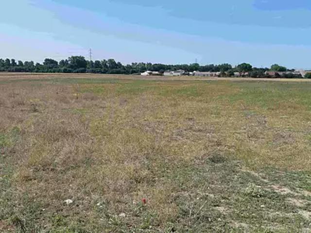 Terrain vente à France métropolitaine, Aigrefeuille-sur-maine