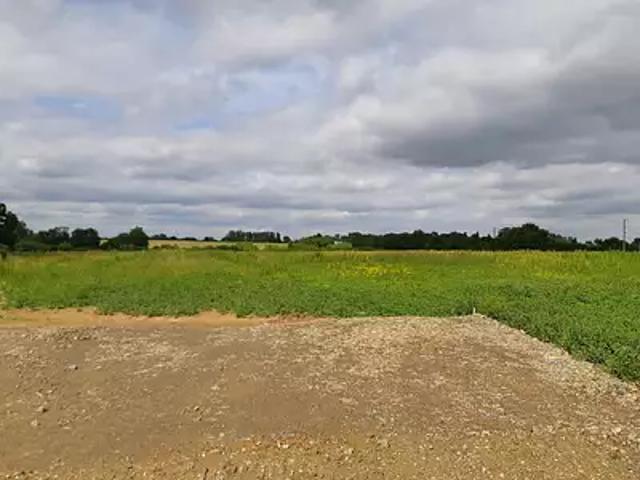 Terrain vente à France métropolitaine, Aigrefeuille-sur-maine