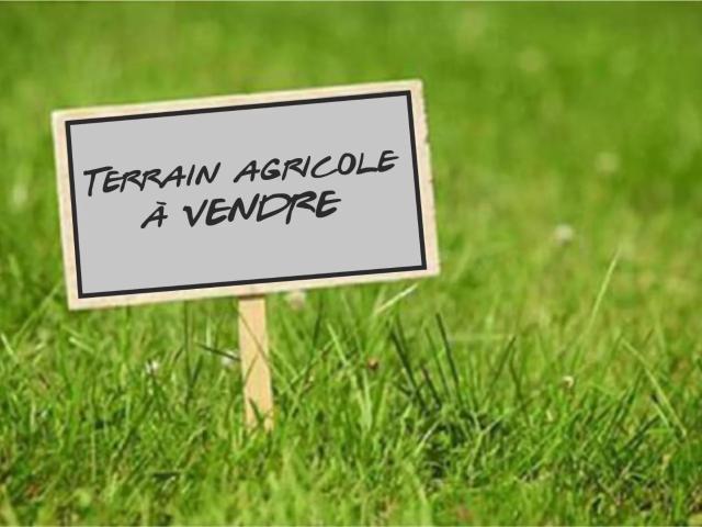 Terrain vente à Riom, Aigueperse