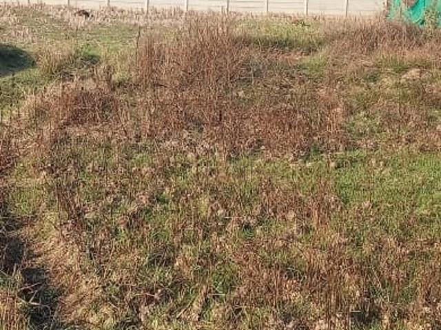 Land for sale in Bhubaneshwar