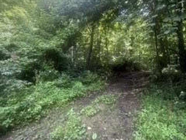 Land for sale in Tennessee