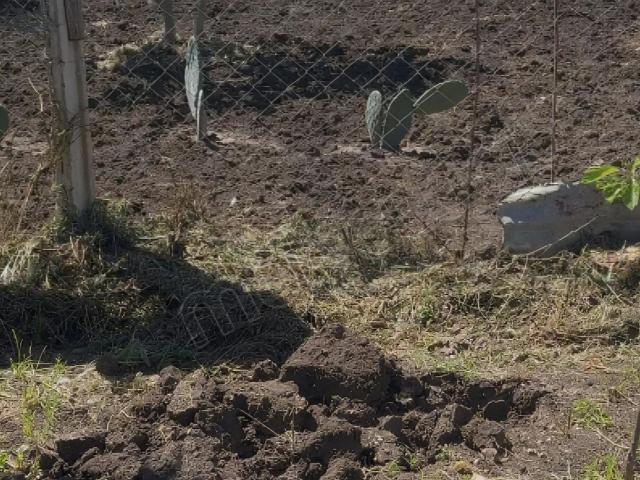 Ferme vente à Slimane, Gharb-Chrarda-Beni Hssen