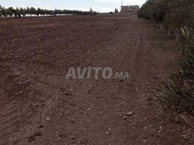 Propriété vente à El Ma, Gharb-Chrarda-Beni Hssen