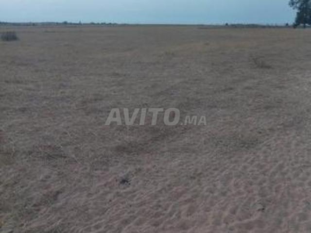 Propriété vente à Gharb-Chrarda-Beni Hssen