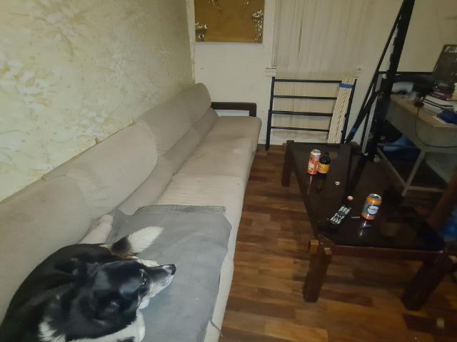 Room for rent in Ainslie, Australian Capital Territory