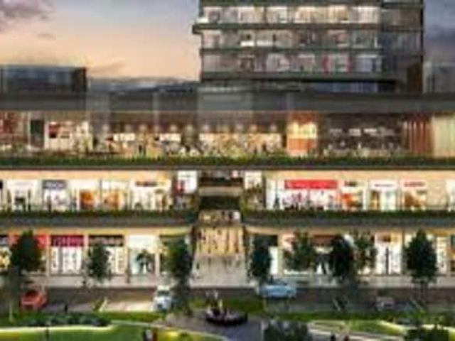 Commercial for sale in Hariana