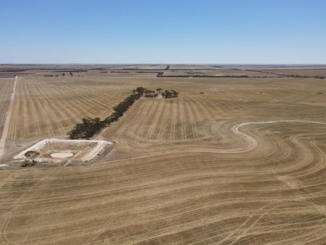 Property for sale in South Kumminin, Shire Of Narembeen