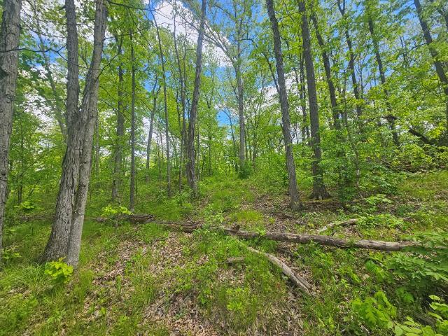 Land for sale in Hurdland, Missouri