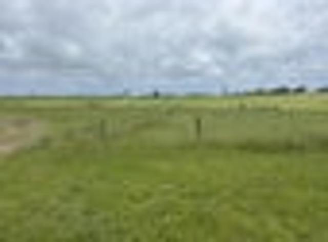 Land for sale in Hillsborough, Taranaki