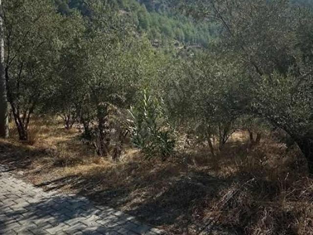 Köyceğiz, Muğla içerisinde satılık Arsa
