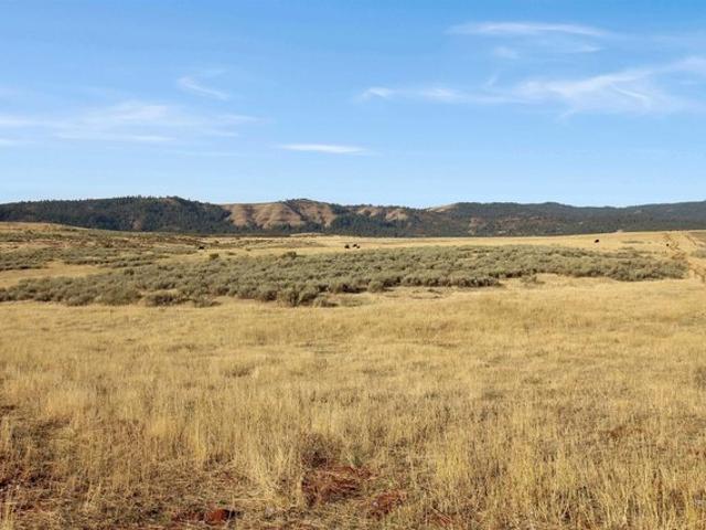 Land for sale in Council, Idaho