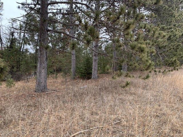 Land for sale in Crivitz, Wisconsin