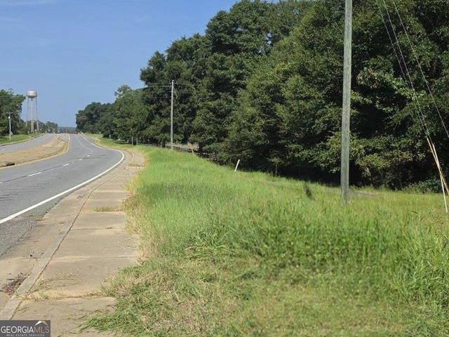 Land for sale in Hawkinsville, Georgia