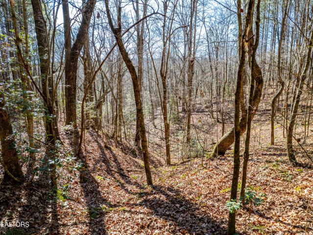 Land for sale in Pine Orchard, Rockwood
