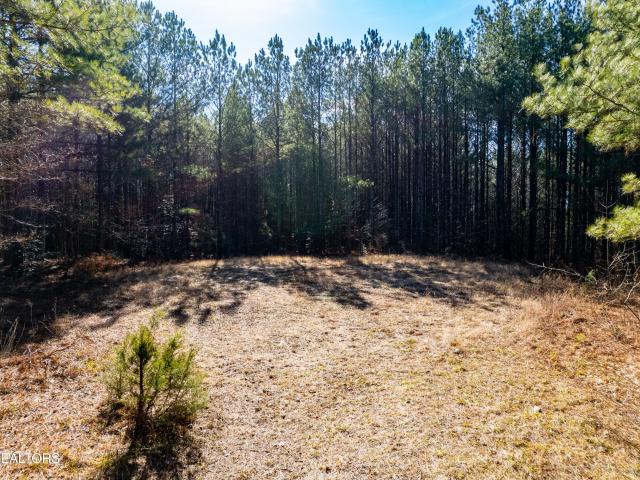 Land for sale in Pine Orchard, Rockwood