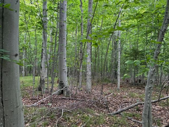 Land for sale in Wisconsin