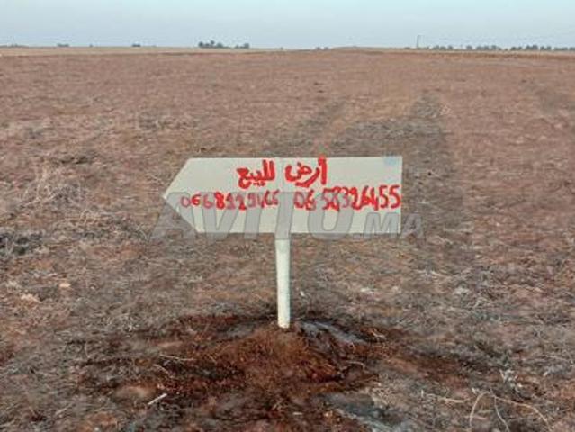 Propriété vente à Khémisset