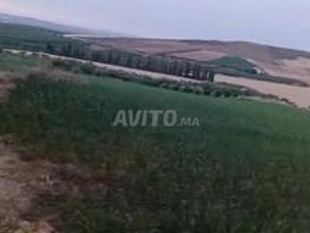 Propriété vente à Ait Ouallal
