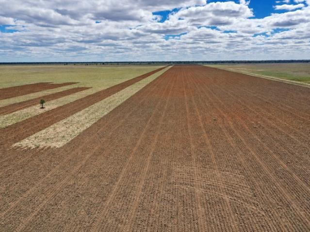 Acreage for sale in Cumborah, New South Wales
