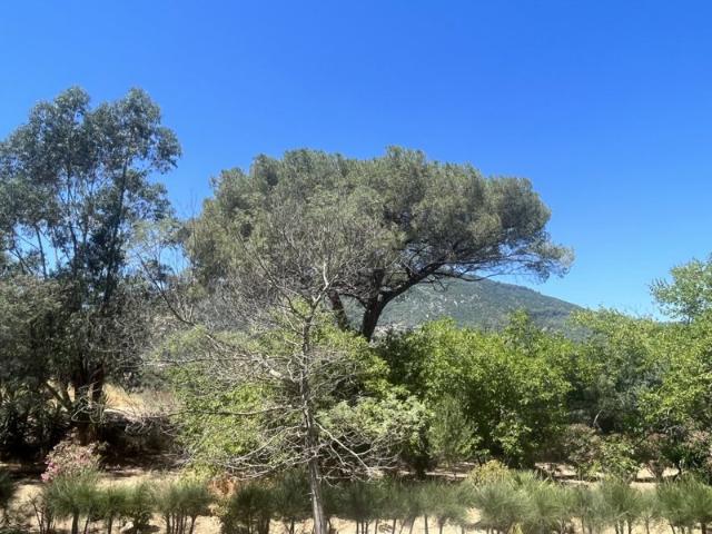 Appartement vente à Ajaccio