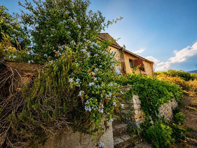 Maison vente à Ajaccio