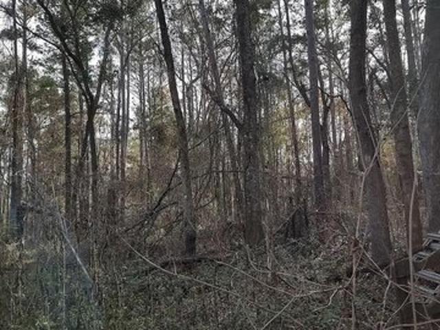 Land for sale in Tallahassee, Florida